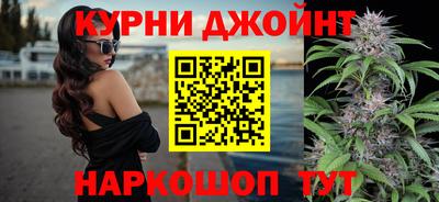 крисы Кинель