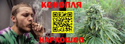 2c-b Кингисепп