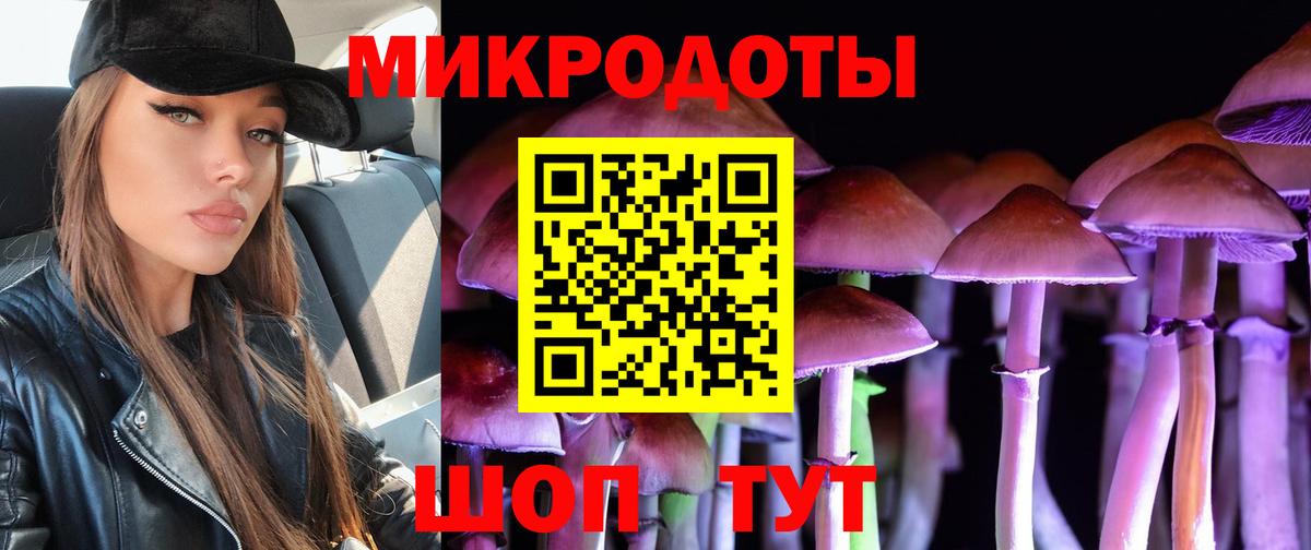 Клин  Галлюциногенные грибы Psilocybine cubensis  Вход с VPN 